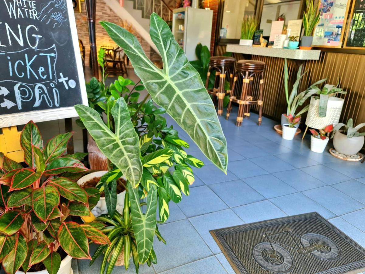 Bed And Terrace Guesthouse Chiang Mai Zewnętrze zdjęcie